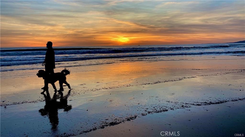 MLS #SR25086687 image #27