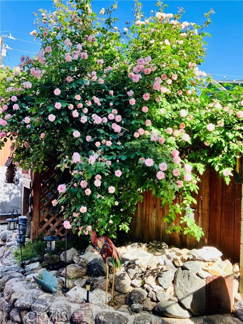 MLS #SR25088563 image #49