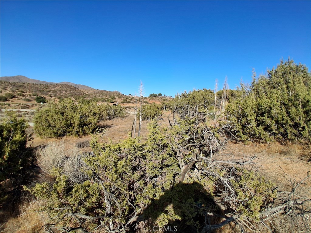 MLS #SR25089924 image #2