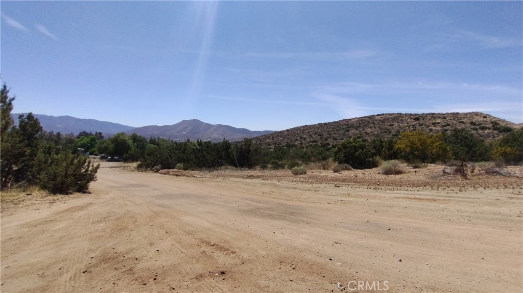 MLS #SR25089924 image #29