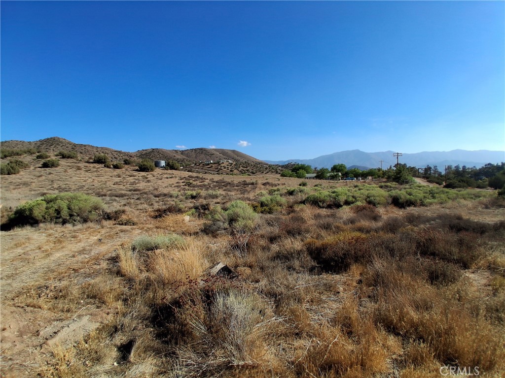 MLS #SR25089924 image #5