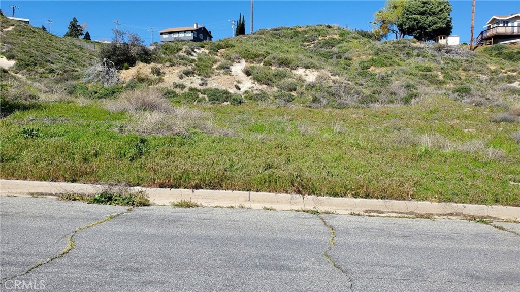 MLS #SR25090843 image #5