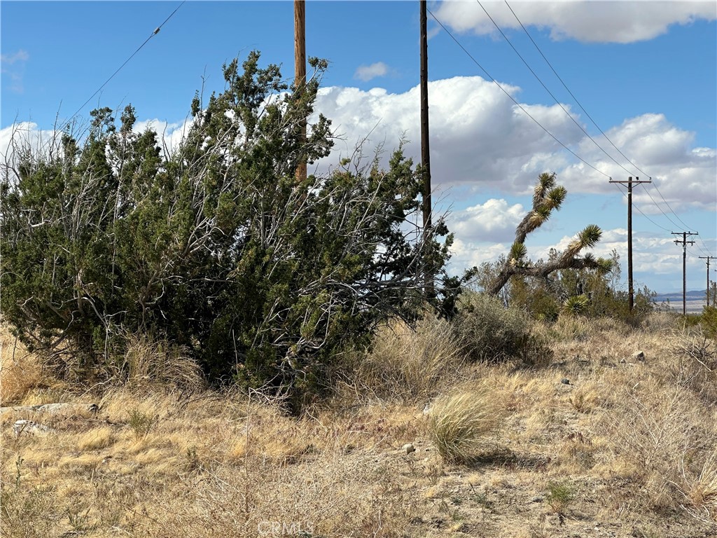 MLS #SR25092236 image #11