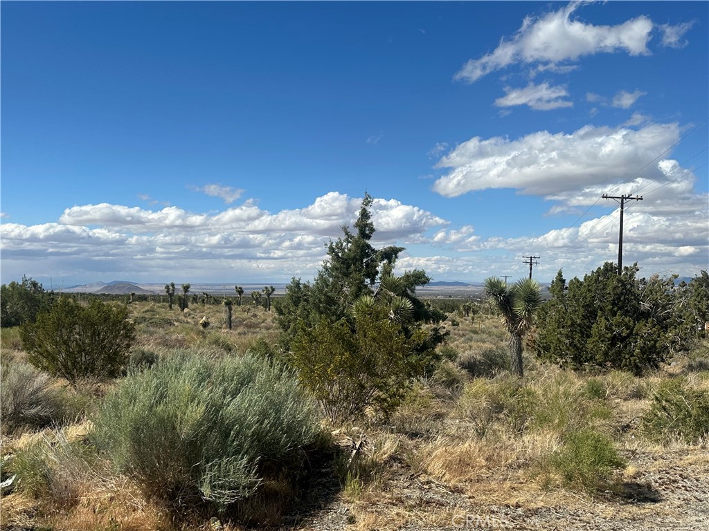 MLS #SR25092236 image #2