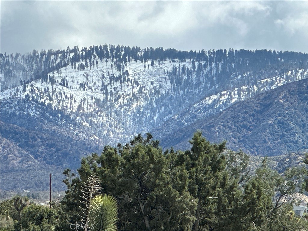 MLS #SR25092236 image #4