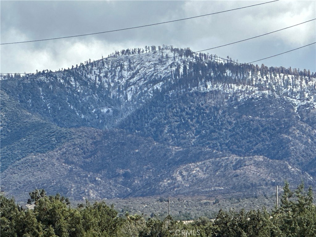 MLS #SR25092236 image #5