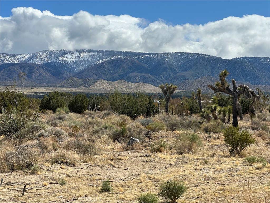 MLS #SR25092236 image #8