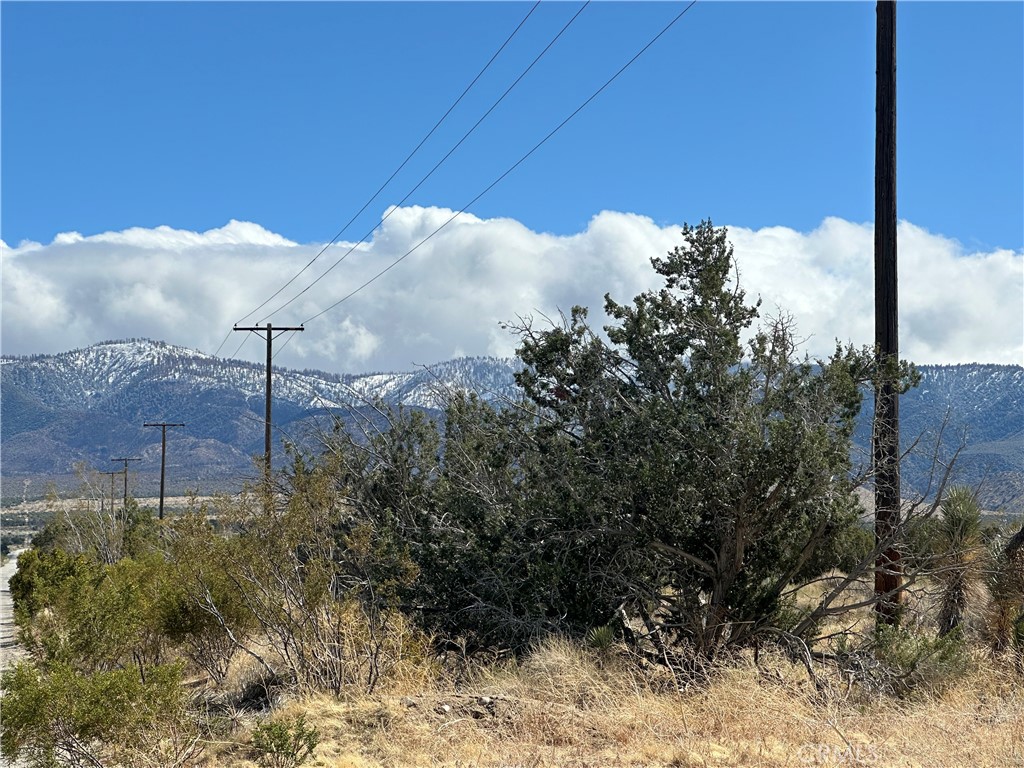 MLS #SR25092236 image #9