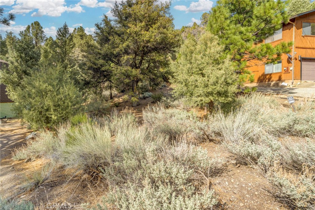 MLS #SR25092429 image #4