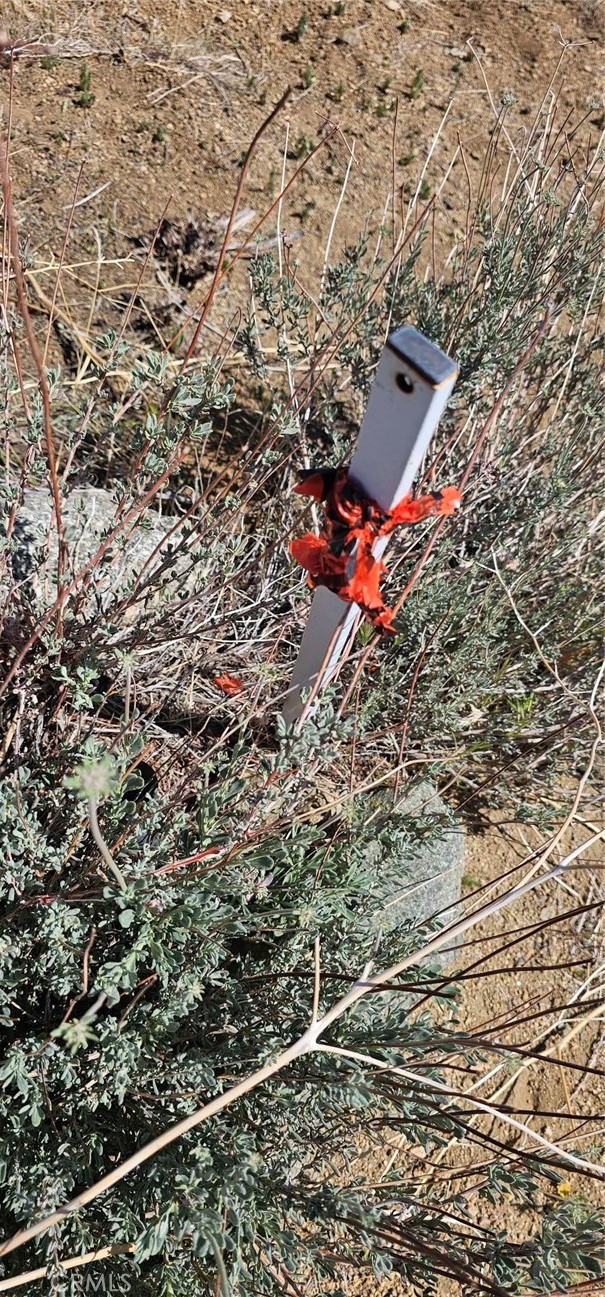 MLS #SR25093035 image #1