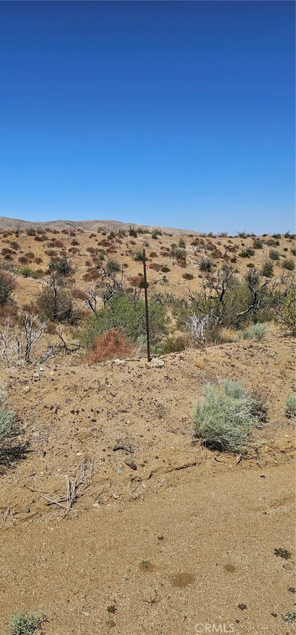 MLS #SR25093035 image #10