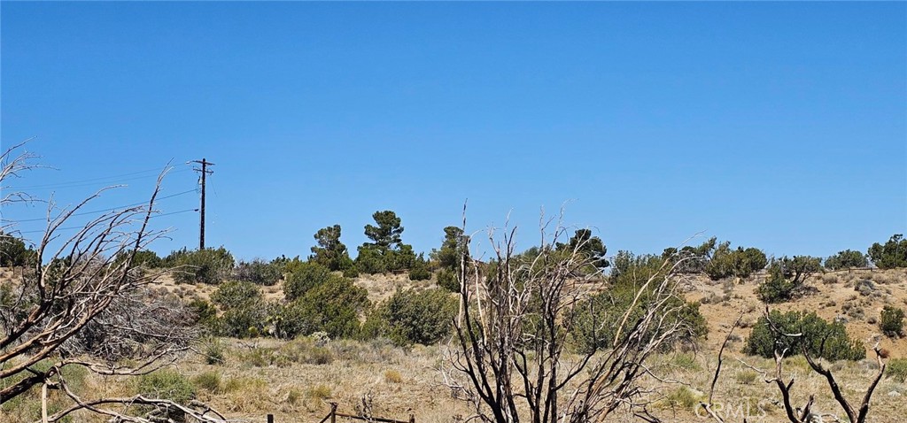 MLS #SR25093035 image #14