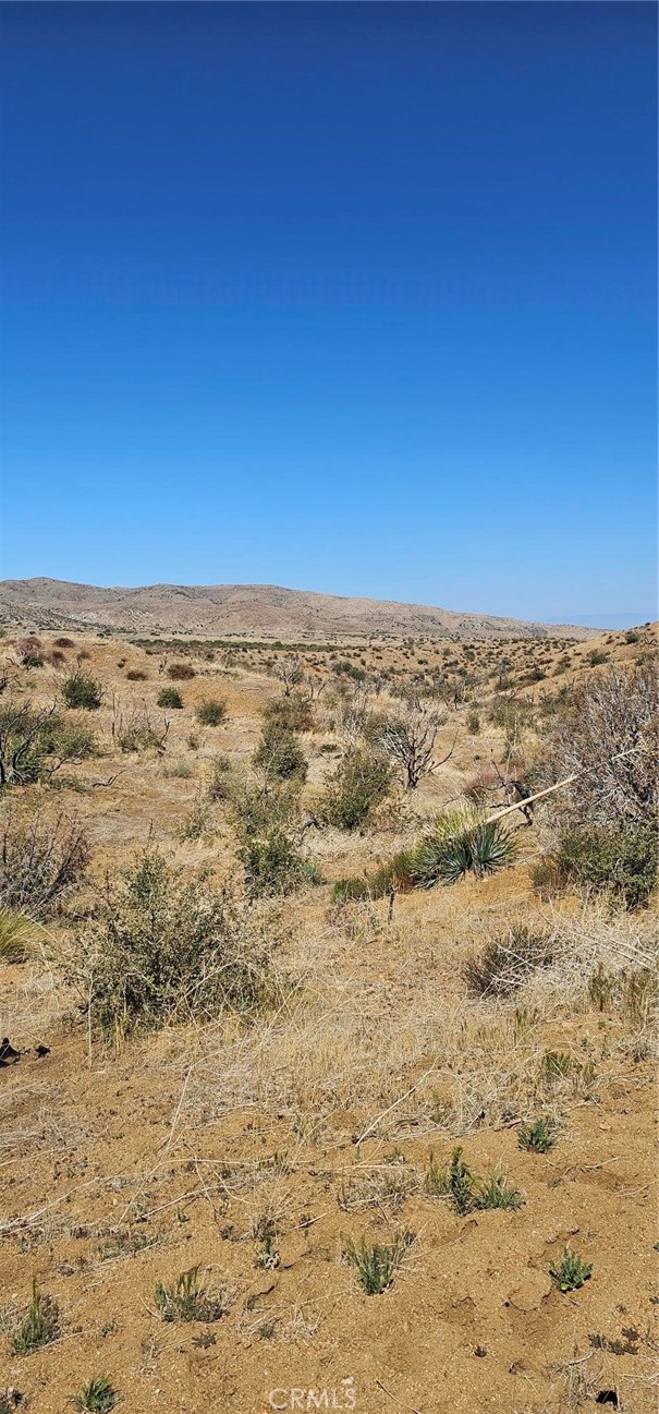 MLS #SR25093035 image #3