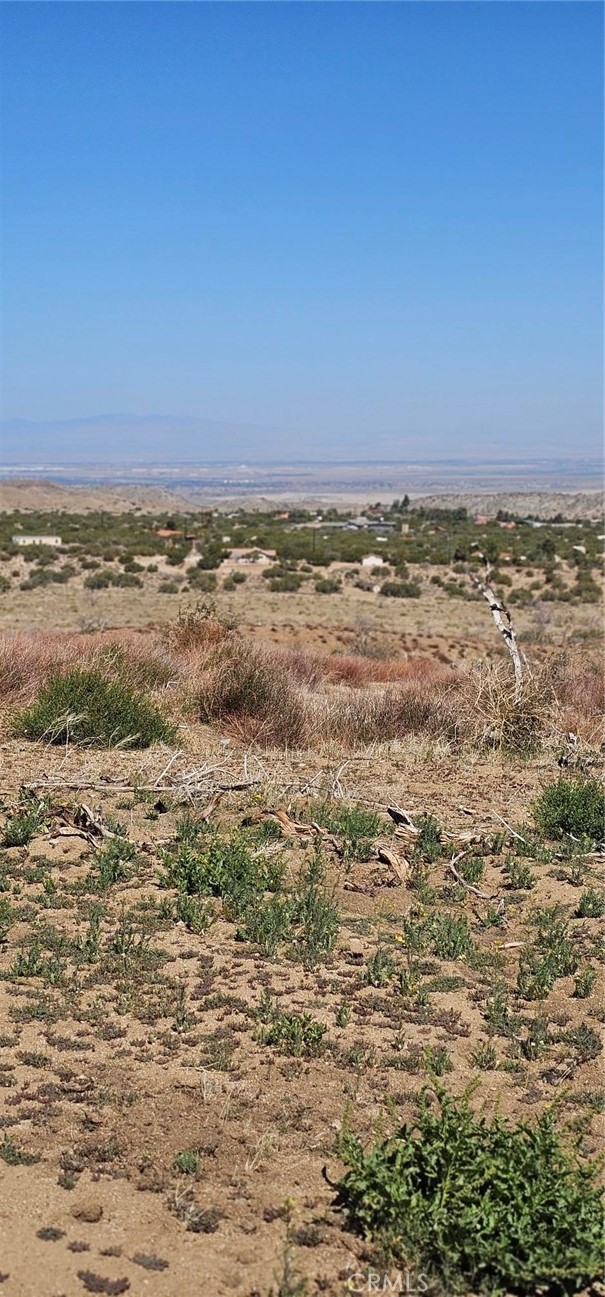 MLS #SR25093035 image #5