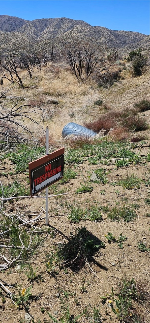 MLS #SR25093035 image #7