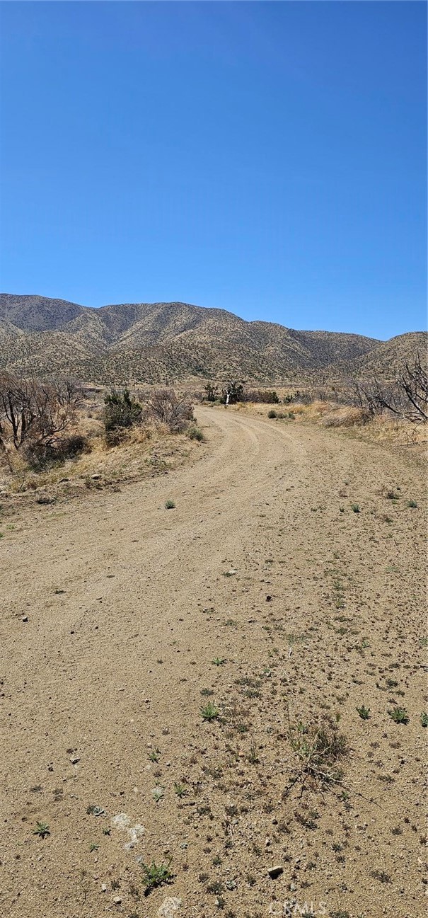 MLS #SR25093035 image #9