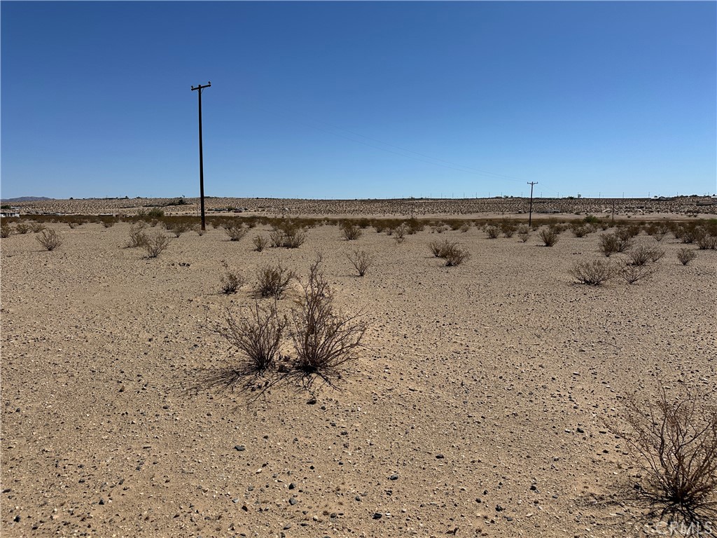 MLS #SR25097581 image #8