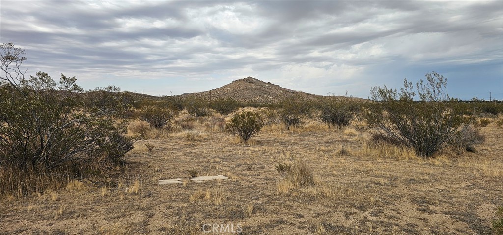 MLS #SR25098213 image #0