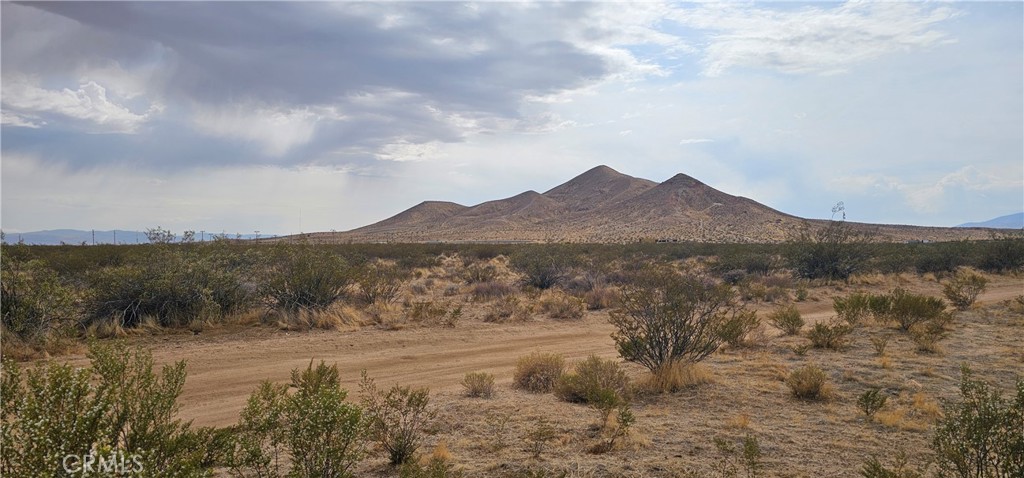 MLS #SR25098213 image #3