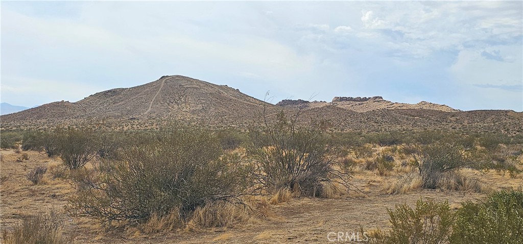 MLS #SR25098213 image #4