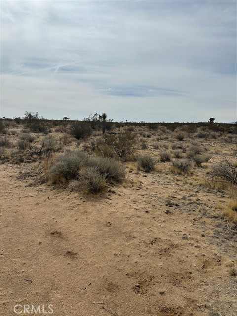 MLS #SR25101110 image #13