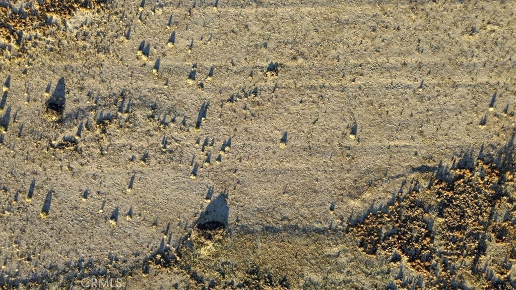 MLS #SR25101114 image #62