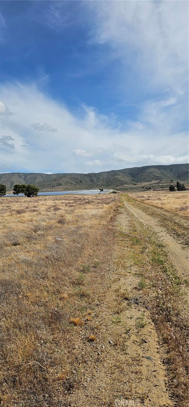 MLS #SR25103849 image #1