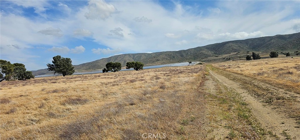 MLS #SR25103849 image #3