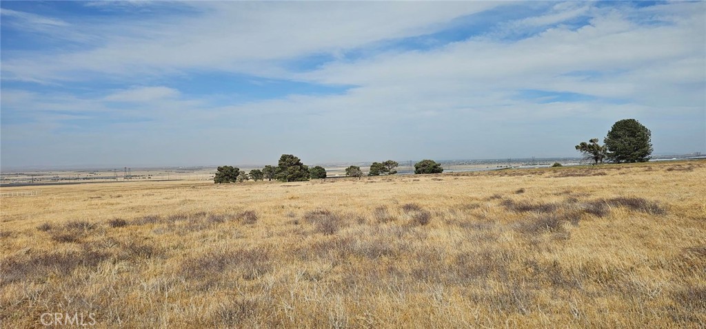 MLS #SR25103849 image #4