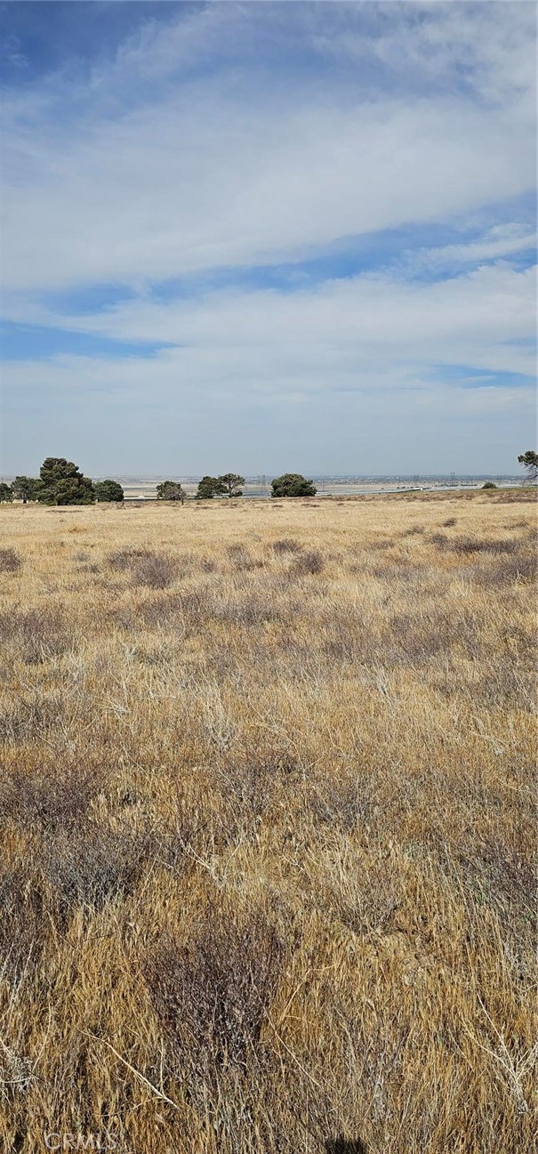 MLS #SR25103849 image #6