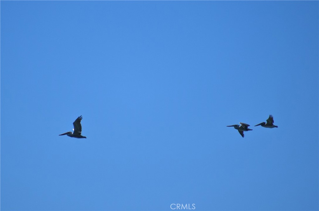 MLS #SR25104626 image #15