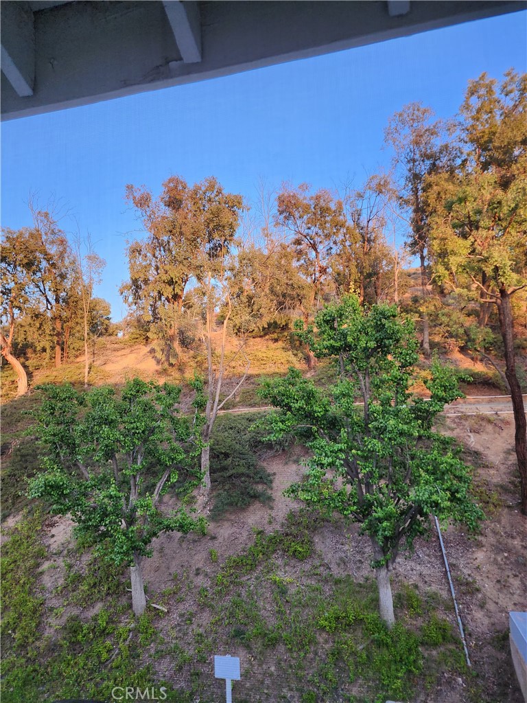 MLS #SR25104870 image #14