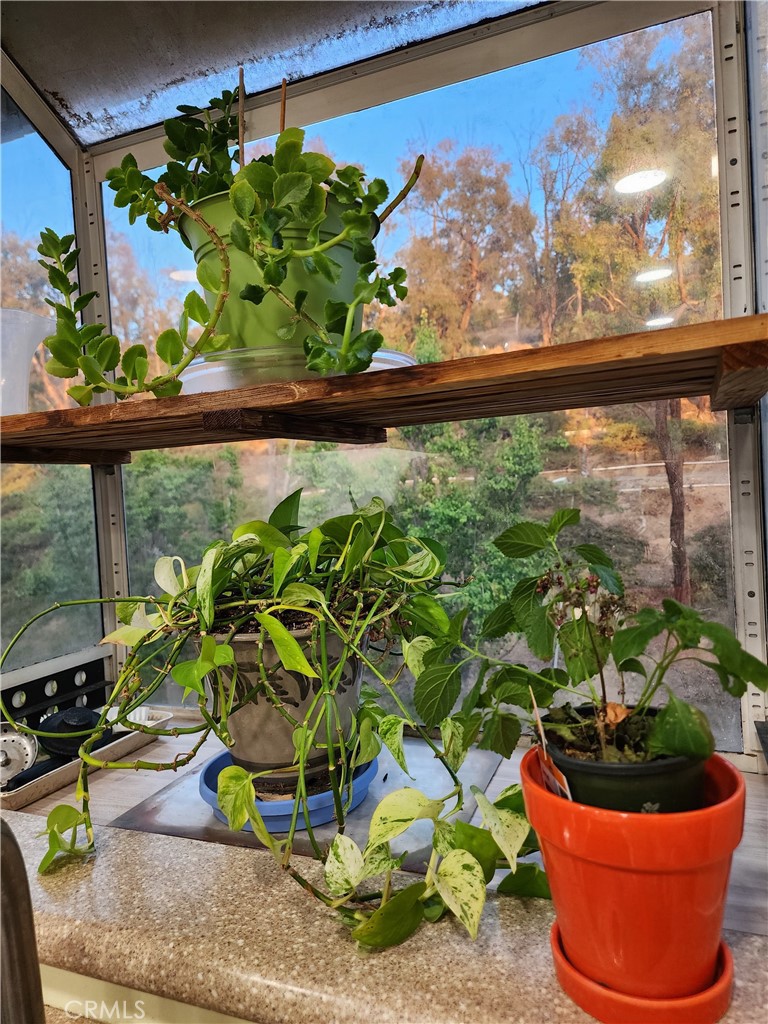 MLS #SR25104870 image #6