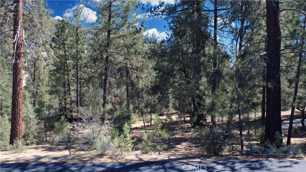 MLS #SR25105000 image #1