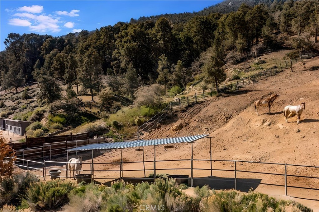 MLS #SR25105000 image #10