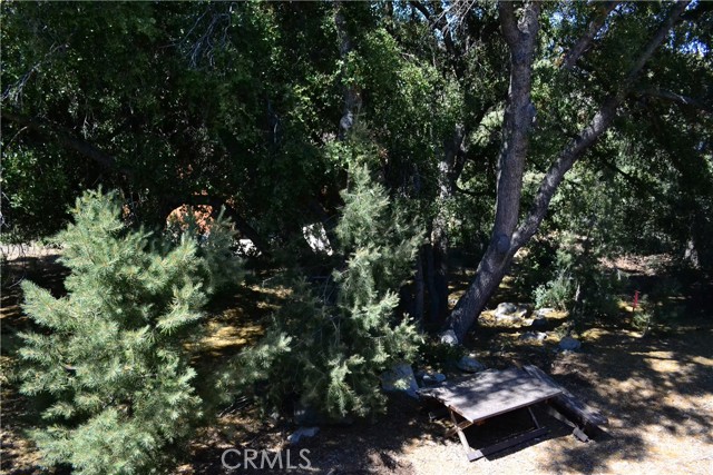 MLS #SR25105220 image #33