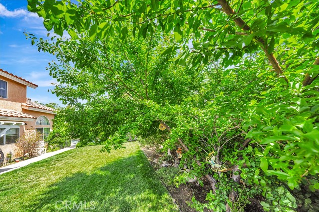 MLS #SR25105932 image #58