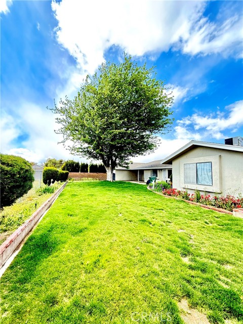 MLS #SR25107649 image #8