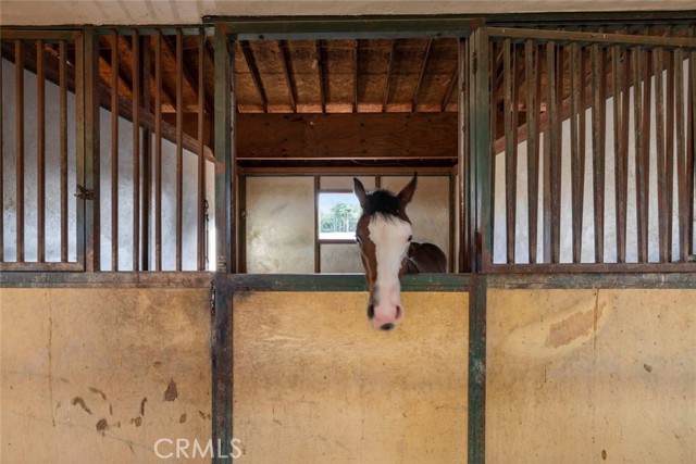 MLS #SR25112069 image #12