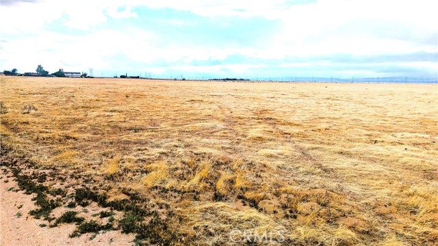 MLS #SR25112258 image #2