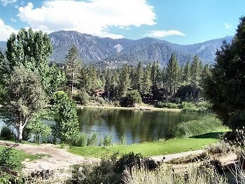 MLS #SR25113671 image #63