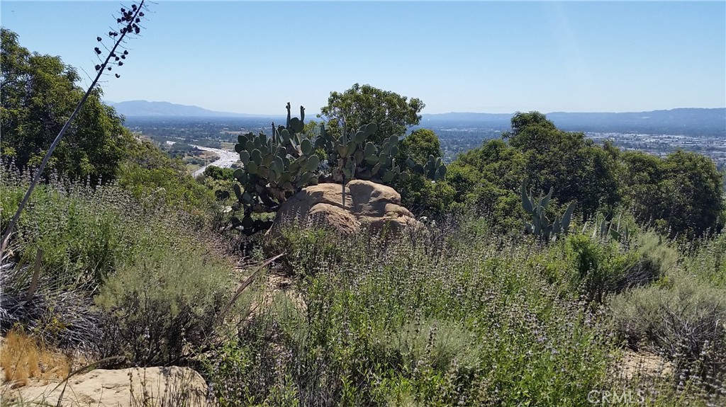 MLS #SR25114360 image #16