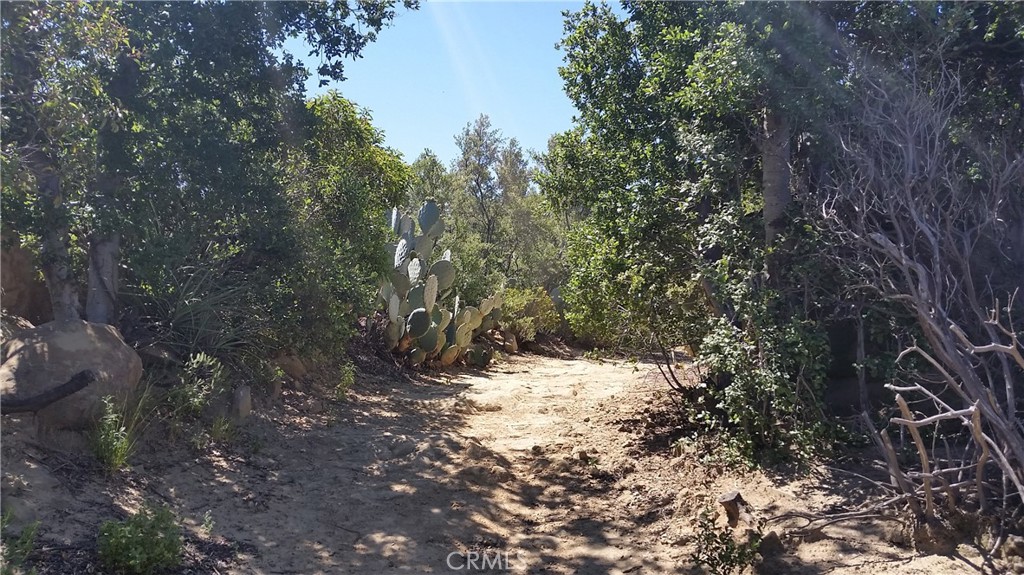 MLS #SR25114360 image #18