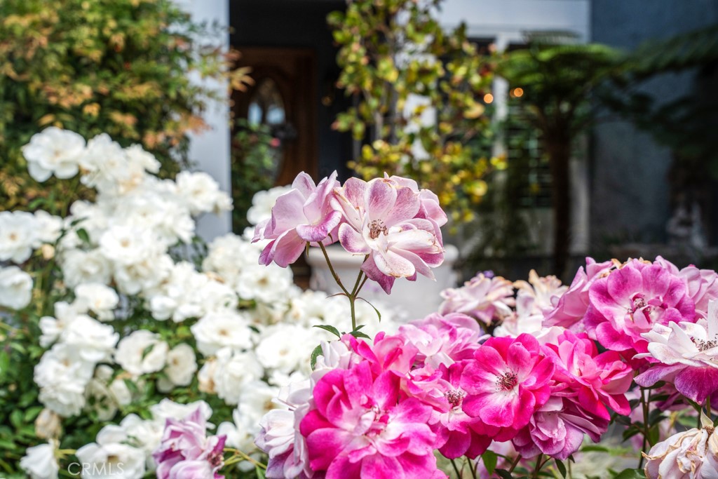 MLS #SR25114755 image #22