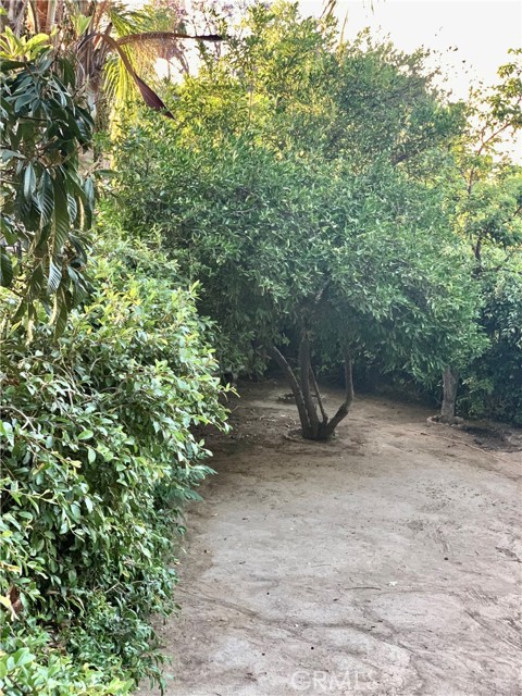 MLS #SR25115101 image #26