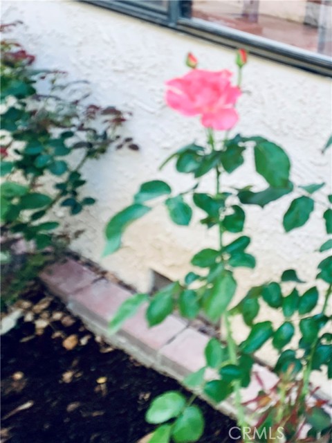 MLS #SR25115101 image #28