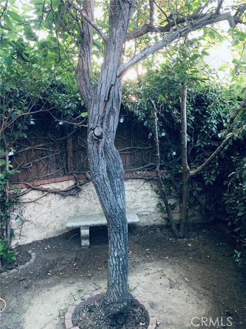 MLS #SR25115101 image #29