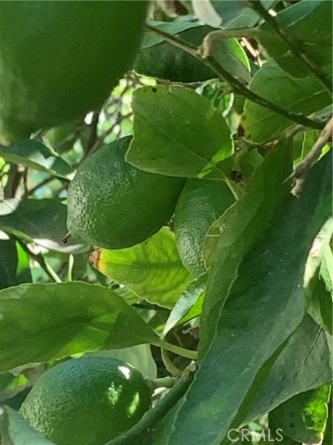 MLS #SR25115101 image #44