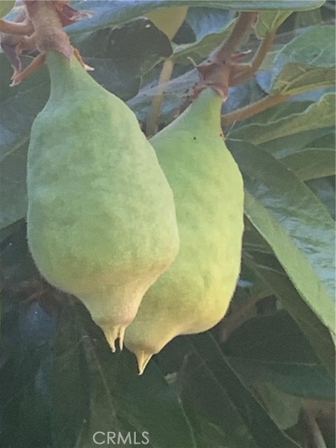 MLS #SR25115101 image #45