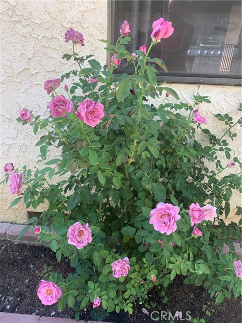 MLS #SR25115101 image #49